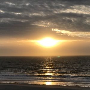 Meet your Posher, Shaina